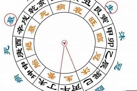 大運神煞|八字大运神煞代表什么意思 (大运神煞和四柱神煞的区别)